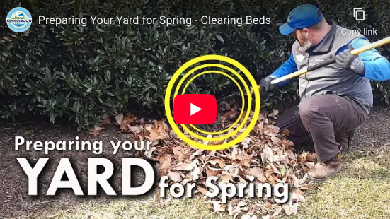 Spring Landscape Tips